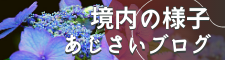 あじさいぼんぼり